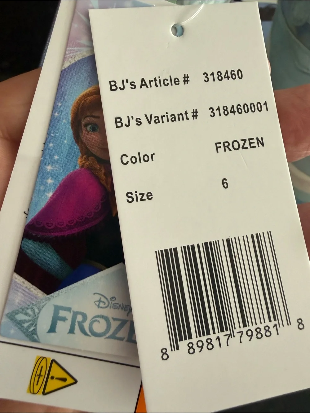 Disney Frozen Light Blue Girls Winter Boots with Elsa & Anna Graphics